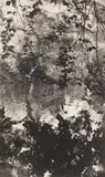 Waterscape #16, 1999 Toned silver gelatin print, image size 17.5 x 10.5cm, sheet size 31 x 23.5cm by Tomio Seike, print, sold May 2026