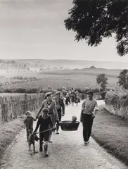 Hopping Holiday by Bert Hardy, Silver gelatin print, printed later, image size, sold May 2026