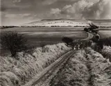 A Group of Four Landscape Studies by Fay Godwin, pencil, sold May 2026