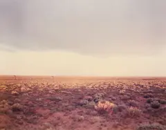 Painted Desert by Richard Misrach, Chromogenic print, printed, offered May 2026