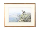 Golden eagle on an outcrop by George Edward Lodge, Watercolour and gouache, offered Jan 2026