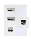 Apples and blossom; three fishes; a pod of peas; carrot by Daphne Reynolds, print (other), offered Nov 2025