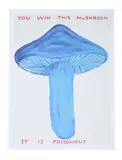You win this mushroom by David Shrigley, Offset lithograph, offered Nov 2025