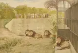 The lion enclosure by Charles Edwin M. Baldock, Pencil and watercolour, offered Nov 2025