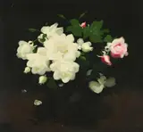 Pink and white roses by Stuart Park, Oil on board, offered Oct 2025