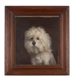 Portrait of a dog or head of a bichon frisé by Vincent De Vos, Oil on board laid to panel, offered Oct 2025