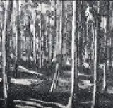 Winston series: woodland scene near mimizian c. 1920's by Andrew Grassie, 1998, Oil on linen, offered Jul 2025