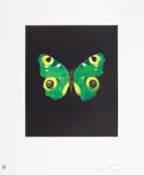 Fate by Damien Hirst, Etching with aquatint printed in colours, offered Jul 2025