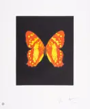 Regeneration by Damien Hirst, Etching with aquatint printed in colours, offered Jul 2025