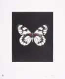 Emerge by Damien Hirst, Etching with aquatint printed in colours, offered Jul 2025
