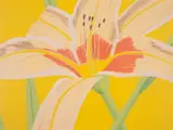 Day Lily 2 by Alex Katz, Lithograph printed in colours, offered Jul 2025