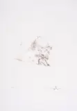 Le Bureaucrate by Salvador Dalí, Etching with drypoint, offered Jul 2025