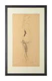 Standing nude by Peter Howson, Chalk and pastel, offered Jun 2025