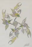 Flowering Quarters, 1940 by Scottie Wilson, pencil, sold Mar 2026