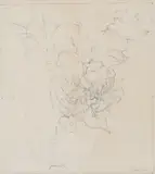 Honeysuckle, Bramble and Hazel, 1981 by Patrick Symons, pencil on paper, sold Mar 2026