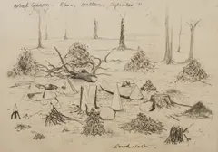 Wood Quarry - Elm, Bretton, September by David Nash, charcoal on paper, sold Mar 2026