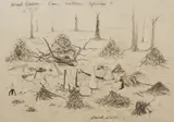 Wood Quarry - Elm, Bretton, September by David Nash, charcoal on paper, sold Mar 2026