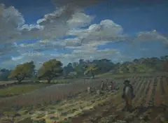 Cabbage fields by Hermione Hammond, oil on canvas, sold Mar 2026