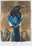 Magpie Manifesto by Jackie Morris, pencil, sold Mar 2026