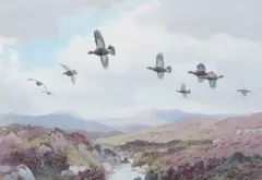 Grouse by John Cyril Harrison, watercolour, sold Mar 2026