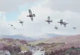 Grouse by John Cyril Harrison, watercolour, sold Mar 2026