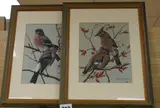 Waxwings and Bullfinches by Robert Morton, watercolor, sold Mar 2026
