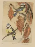Blue Tits by David Koster, pencil, offered Feb 2026