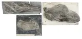 Untitled by John Skelton, sculpture, offered Mar 2026