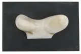 Untitled by John Skelton, sculpture, offered Mar 2026