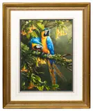 Blue and Gold Macaws by Michael Jackson, 1996, gouache, offered Feb 2025