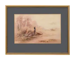 A Study of a cock and hen pheasants by James Stinton, watercolour, offered Nov 2023