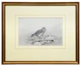 Untitled by George Edward Lodge, gouache on paper, sold Jul 2023