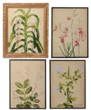 Untitled by Barbara Everard, watercolour, sold Nov 2022