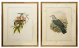 And William Hart: Two ornithological handcoloured lithographs by John Gould, print (other), offered Nov 2022