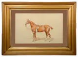 Study of a Chestnut Gelding by Frank Paton, 1896, watercolour, sold May 2022