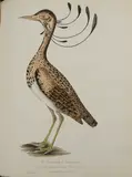 James, Military Reminiscences; 1830 2 vols in one + Orme a History of the Military Tr by Colonel Welsh, woodcut, sold Feb 2022