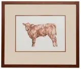 Big Stretch by Caroline Jackman, watercolour, offered Jun 2021