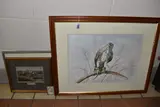 Portrait of a hawk by M. Donnelly, watercolour on paper, sold Dec 2025