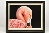 Flamingo by Alex McGARRY, oil on canvas board, sold Nov 2025