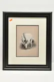 Grazing by Darren Baker, pastel on paper, sold Nov 2025