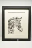 Zebra study by Jenny Bardell, charcoal on paper, sold Oct 2025