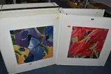 comprising fourteen white and two black, moulded Ikea by Sixteen Vintage Plastic Ikea Picture Frames, print, offered Oct 2025