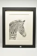 Zebra study by Jenny Bardell, charcoal on paper, offered Oct 2025