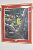 Macaw and Scarlet Macaw, S. America by Andrea Wood, mixed media, sold Aug 2025