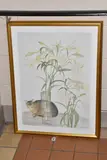 Abyssinian cat and lilies by Elizabeth Blackadder, print, sold Jul 2025