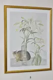 Abyssinian cat and lilies by Elizabeth Blackadder, print, offered Jul 2025