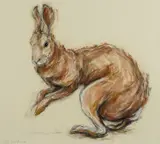 Hare Signed and dated Claire Norrington by Clare Norrington, drawing, sold Dec 2025