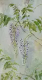 Wisteria Signed with initials MF by Madeleine Floyd, Oil on panel Framed, sold Oct 2025