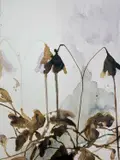 Untitled by Iris Hill, Watercolour and natural pigment ink made from Knopper gall, sold Oct 2025
