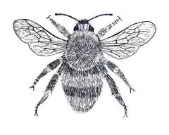 Bee Signed by Mark Lord, Linocut, sold Oct 2025